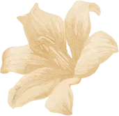 Umělecká a sportovní škola pro děti, mládež a dospělé